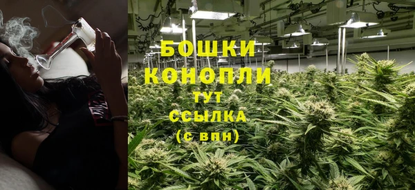 apvp Белокуриха