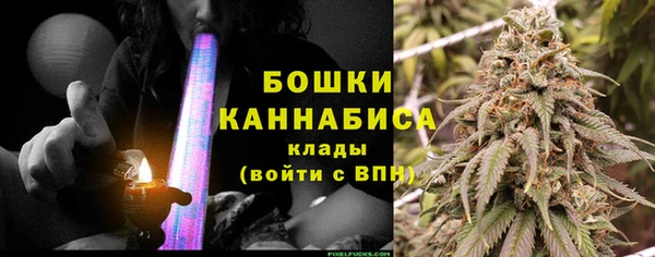apvp Белокуриха