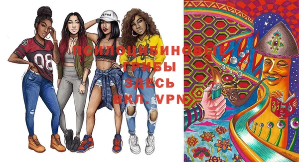 apvp Белокуриха